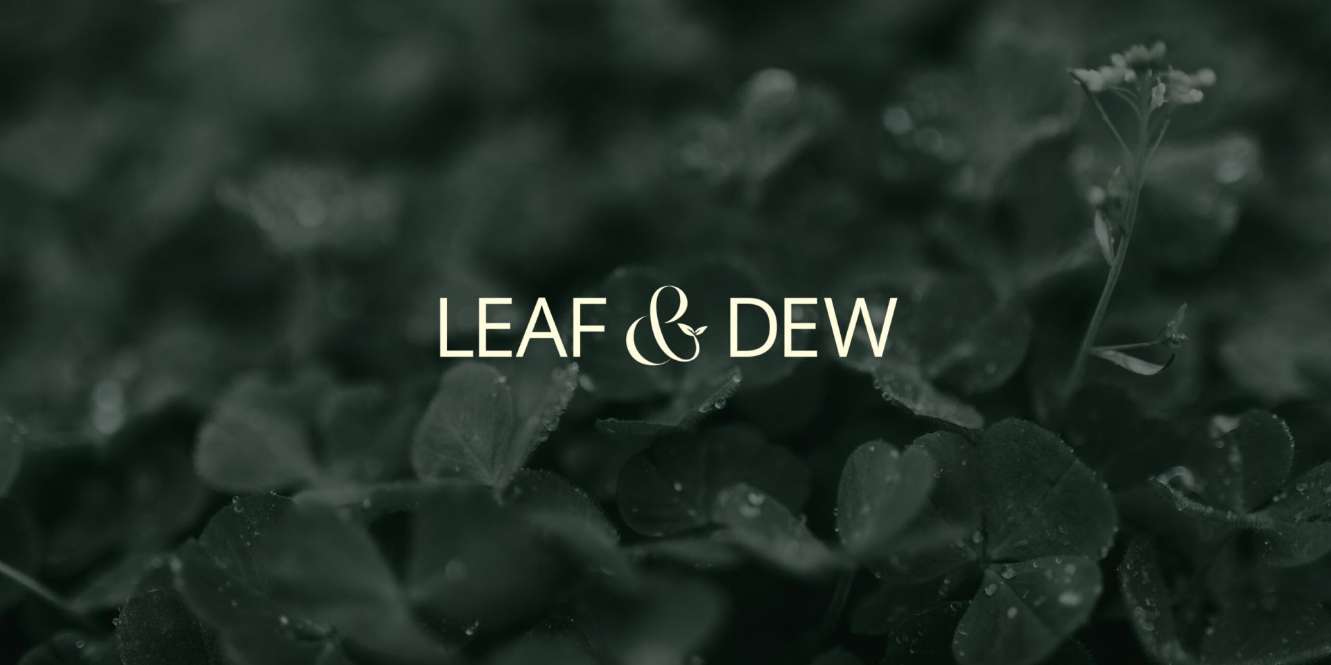 WebsiteCoverImage